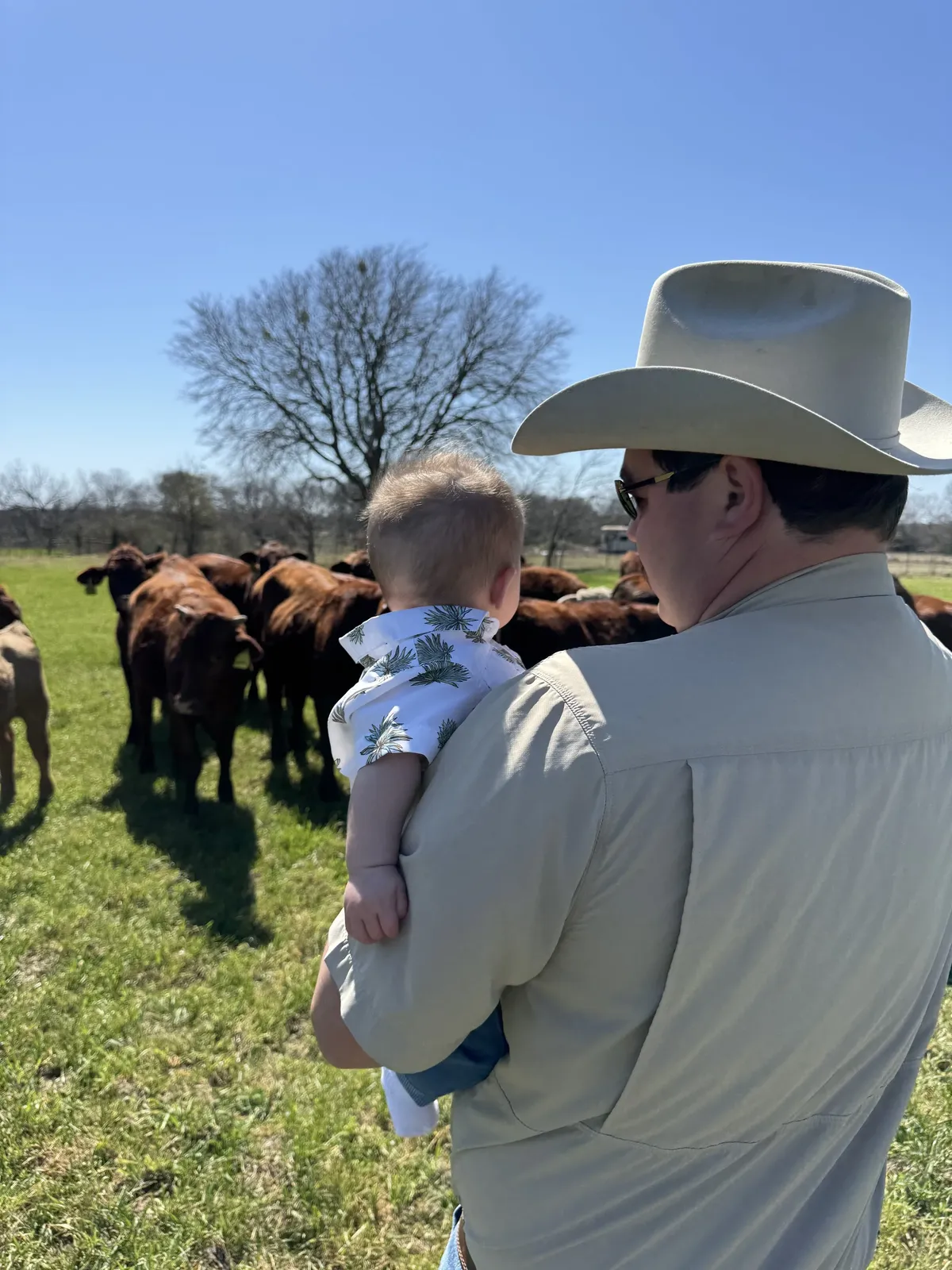 Matt, in a cowboy hat, holding his baby son as they look out over the herd on a spring day